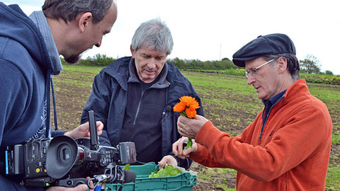 Postřehy odjinud - Wales očima Petra Voldána