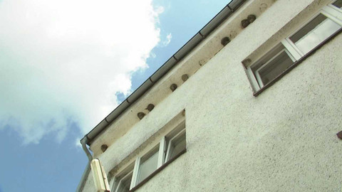 Nedej se! - S člověkem pod jednou střechou