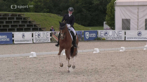 Jezdectví - Mezinárodní drezurní závody CDI-W Olomouc