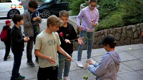 Lvíčata - 25. listopadu 2023