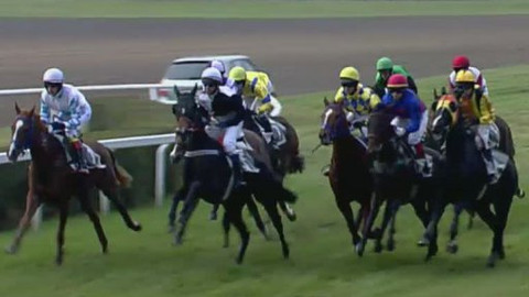 Jezdectví - Cena České asociace steeplechase