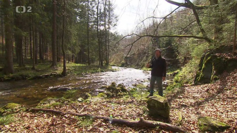 Nedej se! - Nesmyslná záplava