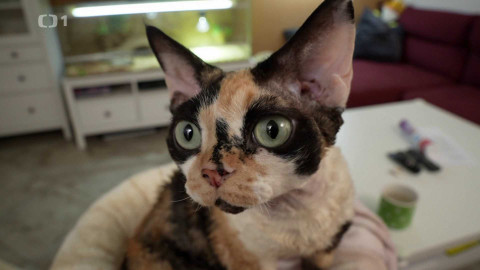 Polopatě - 1. prosince 2024