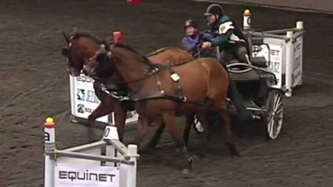 Zimní Jezdecký pohár 2016 - Hradištko