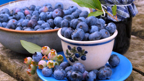 Polopatě - 4. září 2022