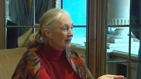 Interview ČT24 - 4. května 2012