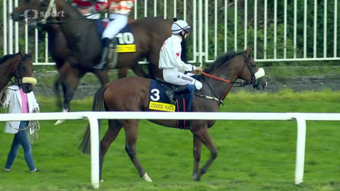 Dostihy - St. Leger, Velká cena Prahy