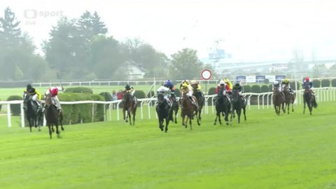 Jezdectví - Cena prezidenta republiky 2014 Praha - Velká Chuchle