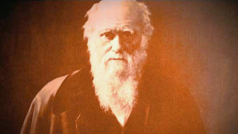 Neznámá země - 1/3 Stvoření