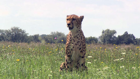 Zoománie - Epizoda 16/17