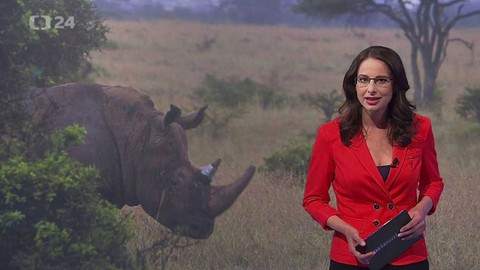 Horizont ČT24 - 26. dubna 2017