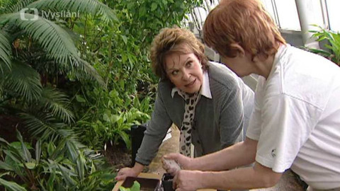 Dobrá rada nad zlato - 30. dubna 2006