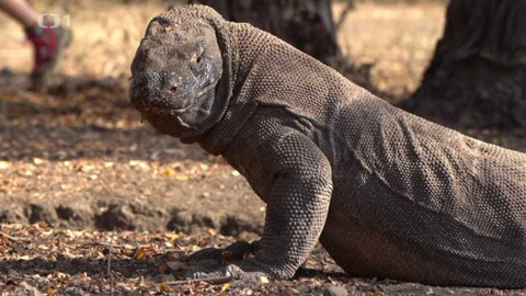 Objektiv - 14. června 2020