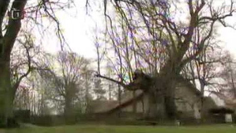 Živé srdce Evropy - Klokočovská lípa