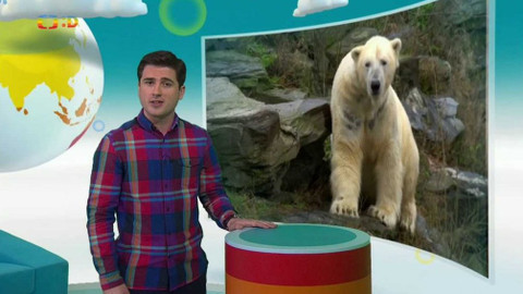 Zprávičky - 12. prosince 2017