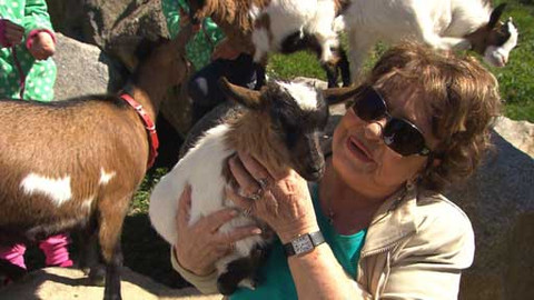 Hobby naší doby - 6. června 2015