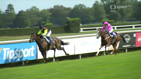 Dostihy - Letní cena města Pardubic