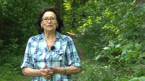 Chcete mě? - 10. června 2012