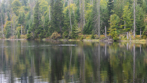 Magické hlubiny - 6/7 Světlo a stín