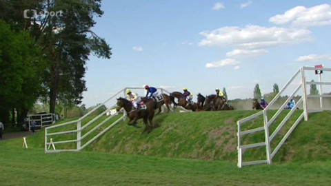 Turf - 12. května 2016