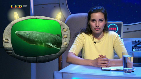 PLANETA YÓ - 14. listopadu 2022