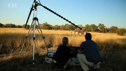 Dobrodružství vědy a techniky - Bioakustika