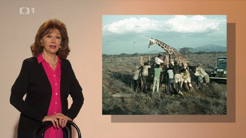 Kalendárium - 4. května