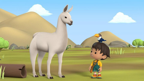 Leo, strážce přírody - Lama krotká