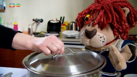 Lvíčata - Akrobatický rokenrol