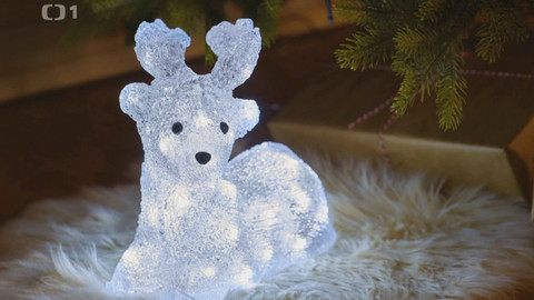 Polopatě - 28. listopadu 2021