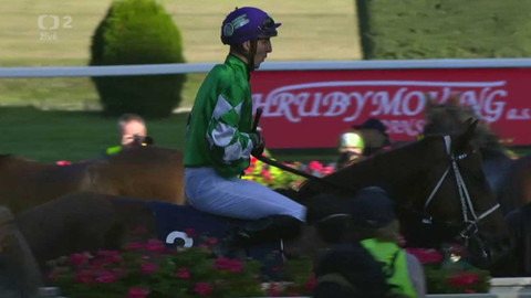 Dostihy - Evropský pohár žokejů 2020