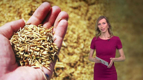 Horizont ČT24 - 29. března 2022