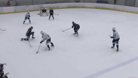 Univerzitní liga ledního hokeje - BLACK DOGS BUDWEIS - VŠE Falcons Prague