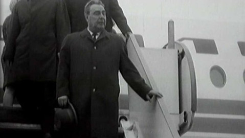 Archiv ČT24 - Desítkové květny