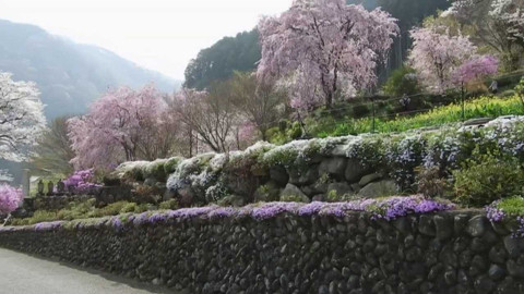 Obdivuhodný svět přírody - Jarní příroda v Okutamě