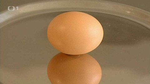 Pod pokličkou - Zásobárna bílkovin v křehkém obalu