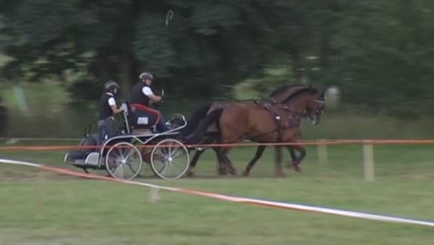 Jezdectví - Mezinárodní závody spřežení CAIO-W Nebanice