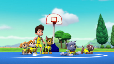 Tlapková patrola - Tlapky zachraňují Ace / Tlapky zachraňují svatbu