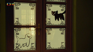 Pes Buffino a kočka Jůra