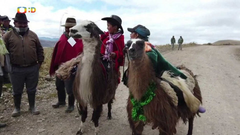 Zprávičky - 23. února 2020