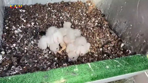 Zprávičky - 10. května 2022