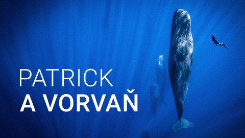 Patrick a vorvaň