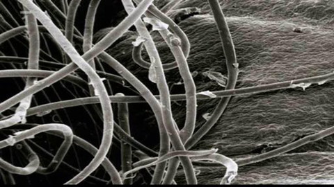 Kaleidoskop - 5. září 2010