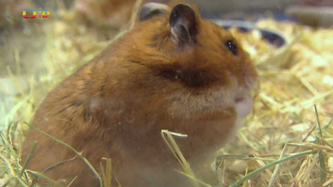 Terčin zvířecí svět - 16. února 2024