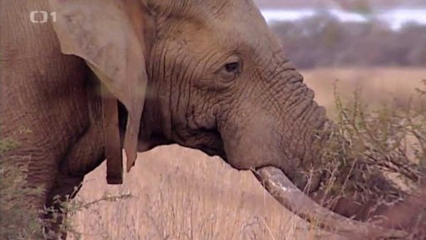 Na cestě - Na cestě po severozápadu Jihoafrické republiky