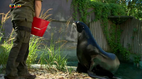 Terčin zvířecí svět - 9. října 2020