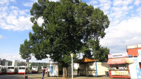 Z metropole - 17. ledna 2015