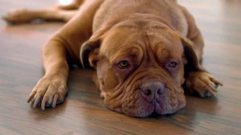 Mezipatra 2014 - Narovinu