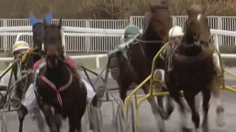 Jezdectví - Klusácký Saint Leger