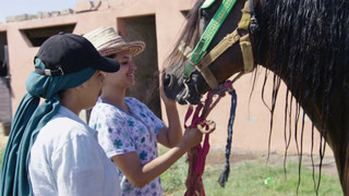 Dobrodružství vědy a techniky